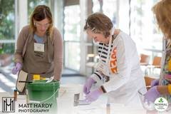 Making Soap From Scratch