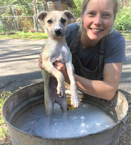 Natural Dog Soap Bar makes pups fresh, clean and soothed.